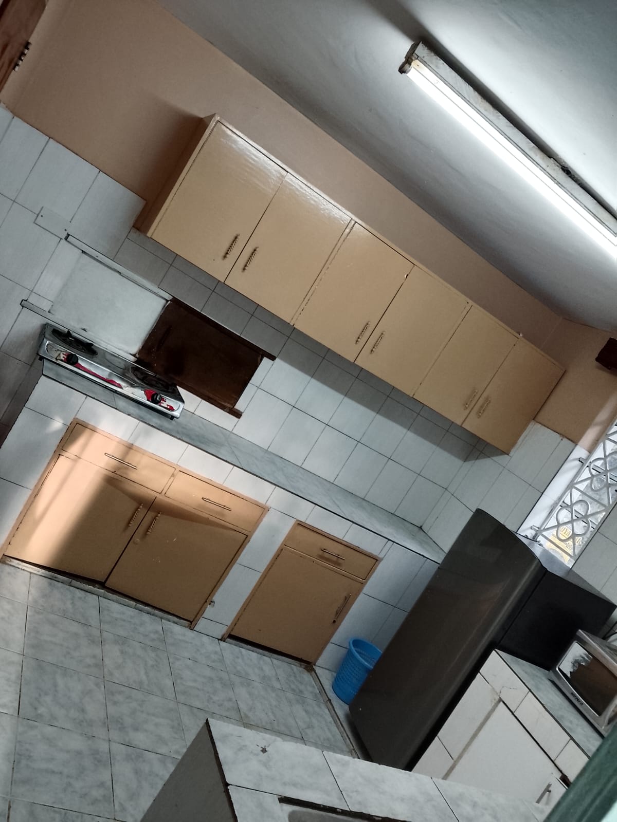 Balonzi Executive House - Luxury 4 bedroom house in Balozi Estate